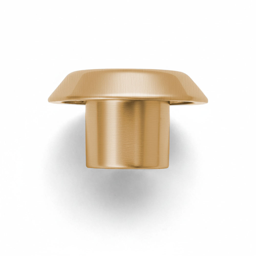 Disk P_Gold Esc 1